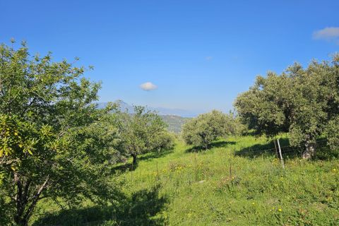 Landejendom i Collesano, Palermo, Collesano - € 125.000 | Ref: 10599 - foto 9